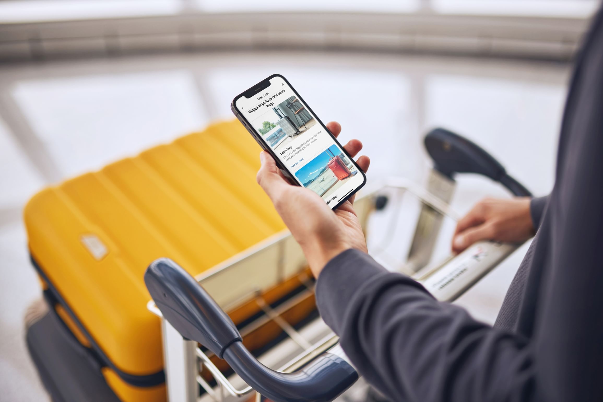 Image for Middle East Business: Etihad Airways set for record winter travel season